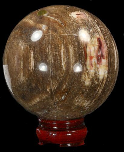 Colorful Petrified Wood Sphere #41955